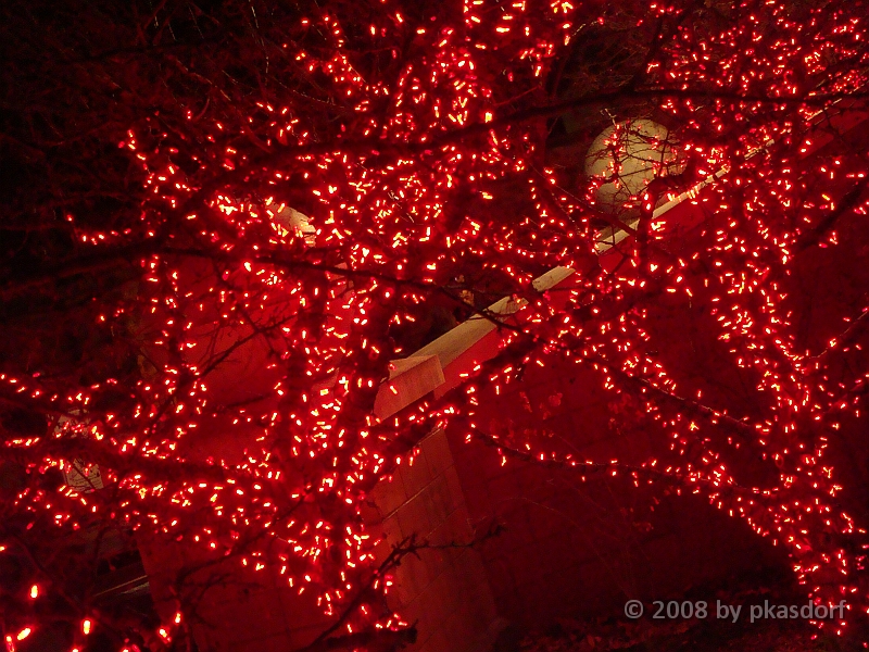 027 Toledo Zoo Light Show [2008 Dec 27].JPG - Scenes from the Toledo Zoo Light Show.
